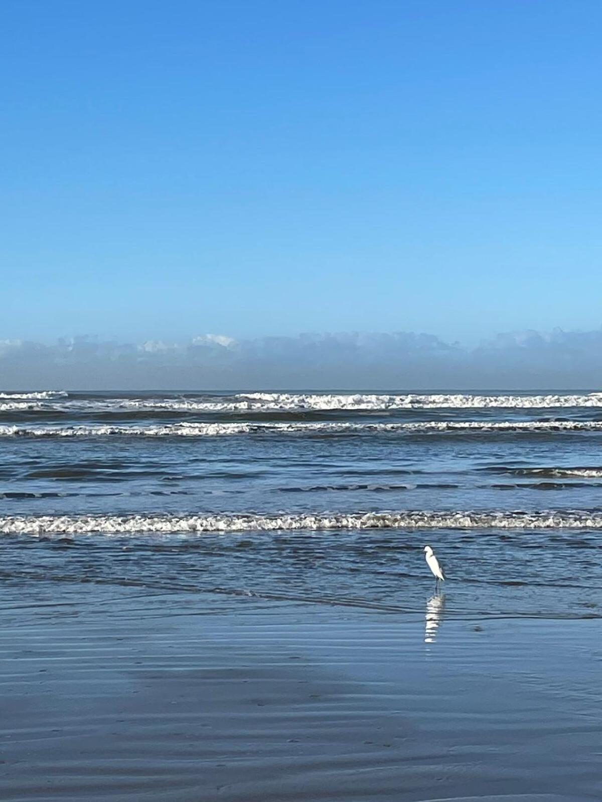 Apartmán Habitat - Predio De Frente Pro Mar Praia Grande  Exteriér fotografie
